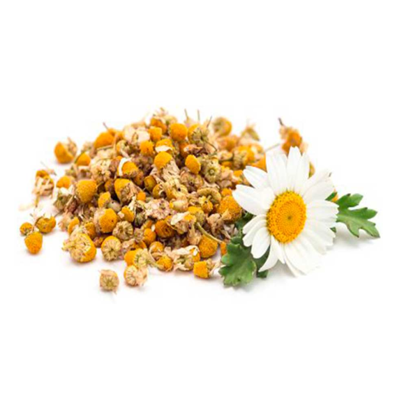 ROMAN CHAMOMILE ESSENTIAL OIL