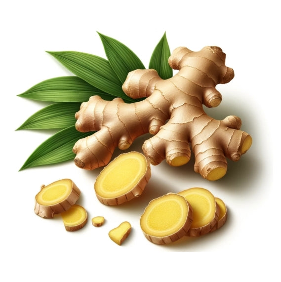 ORGANIC GINGER SCO2 ESSENTIAL OIL
