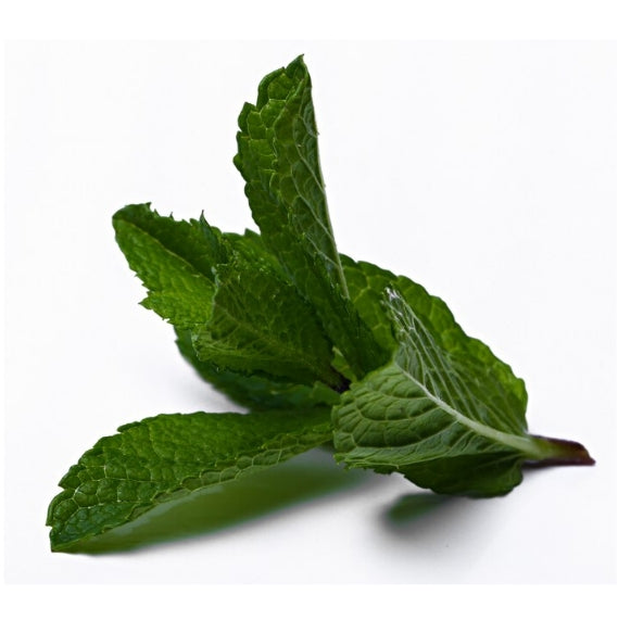 ORGANIC PEPPERMINT ESSENTIAL OIL