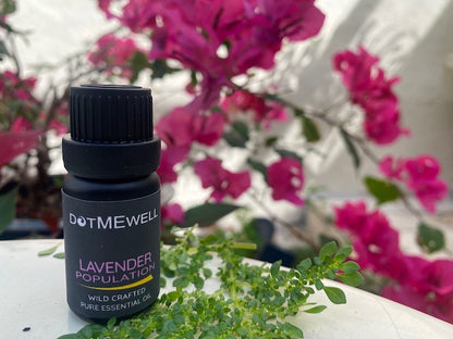 POPULATION LAVENDER ESSENTIAL OIL